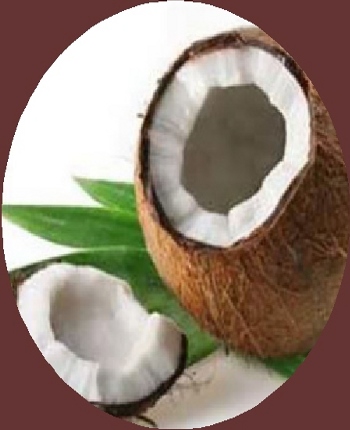 Extra Virgin Organic Coconut Oil Benefits